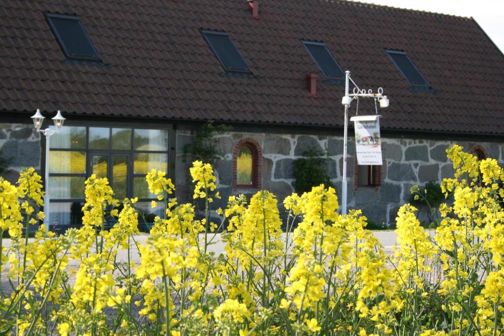 Blasingsborgs Gardshotell Pa Oesterlen Kivik Luaran gambar